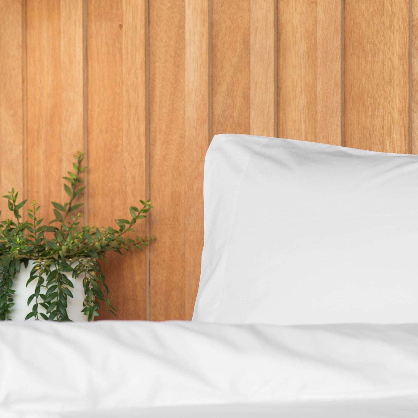 CLEARANCE: Pillowcases: The Egyptian Hotel Sheet