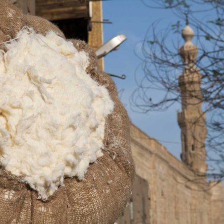 The truth about Egyptian cotton
