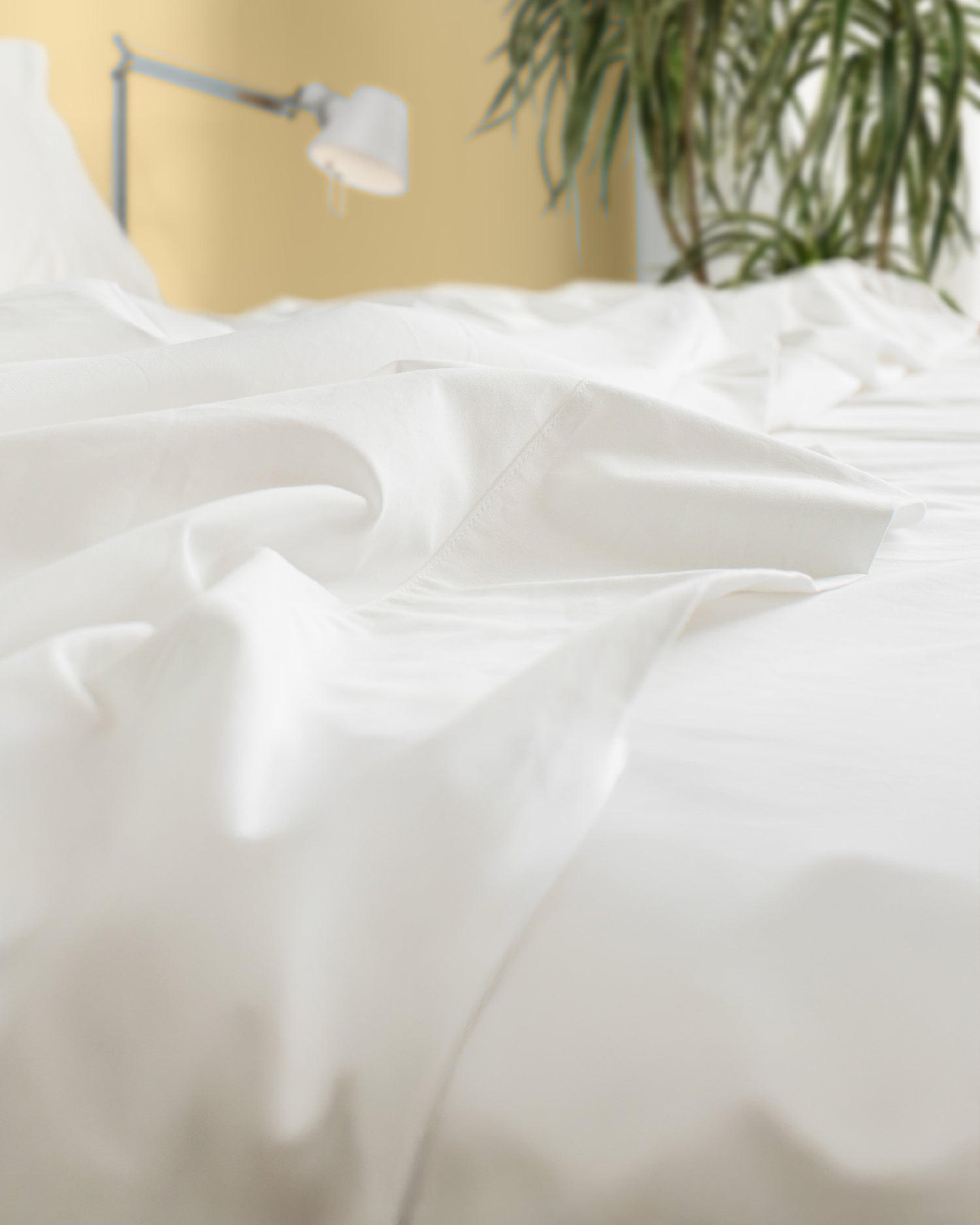 Top Sheets Only: The Hotel Sheet