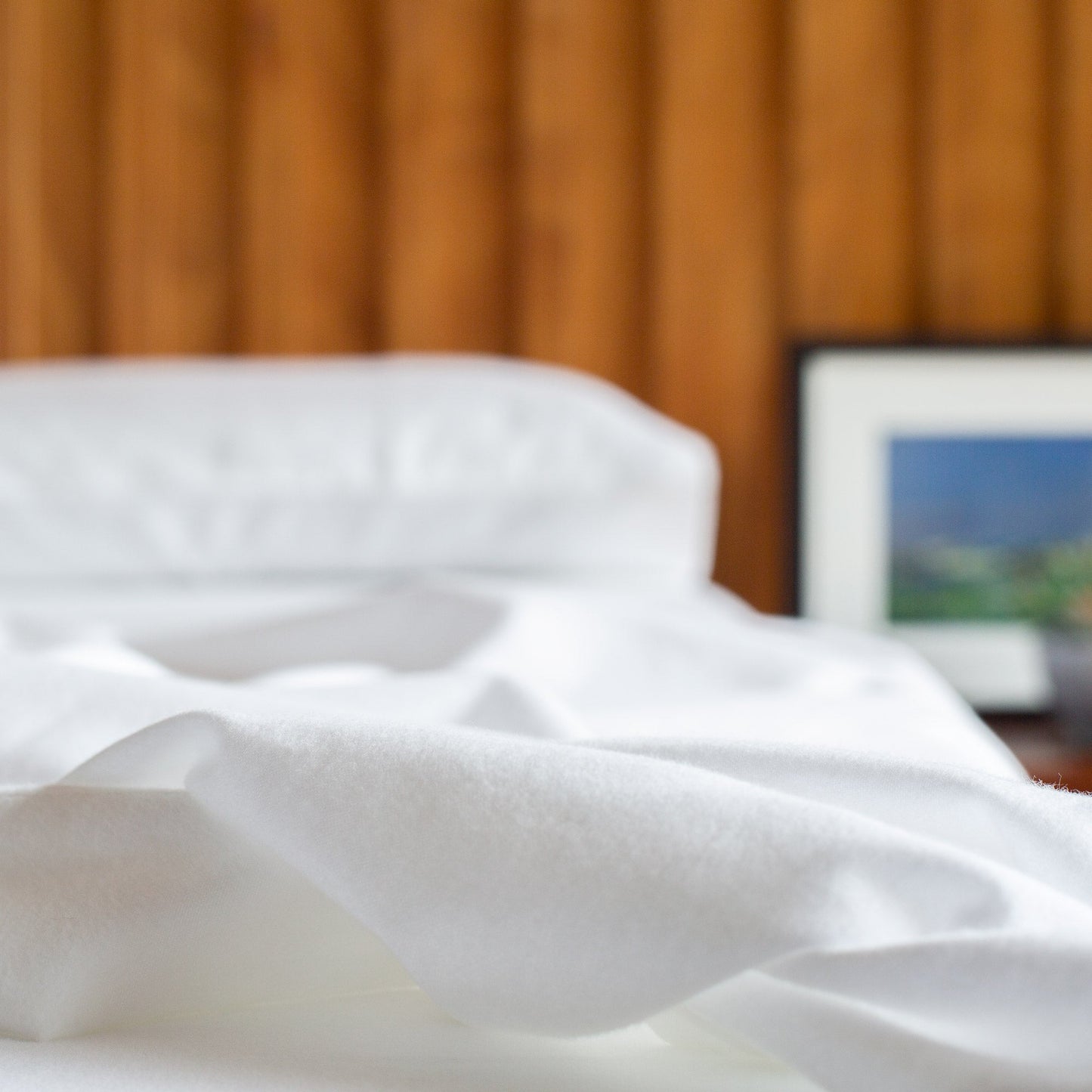 The Velvet Flannel Sheet: Pillowcases